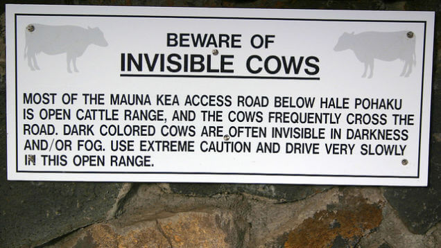 [Image: beware-of-invisible-cows-street-sign-def...riving.jpg]