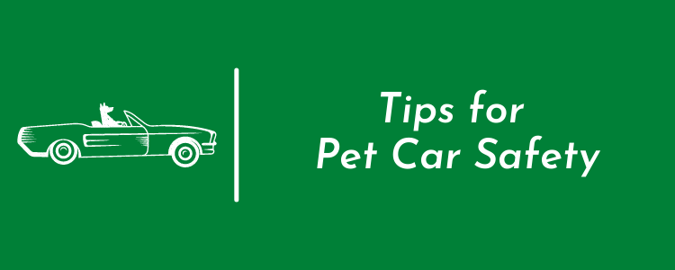 Tips for Pet Car Safety